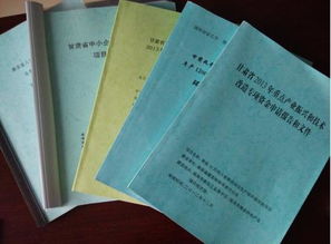 項目資金申請批復范文(申請項目資金請示)