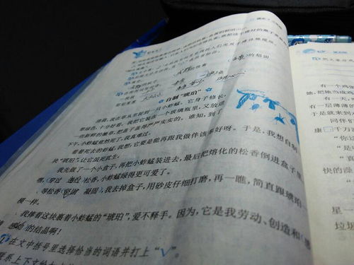 輕輕的告訴你們作文開頭