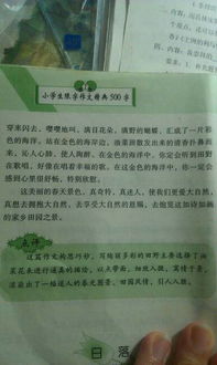 美麗優(yōu)美的地方景色作文開頭