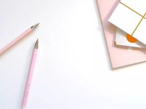 渲染氣氛式開頭作文