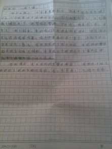 我的一個小伙伴600字作文開頭