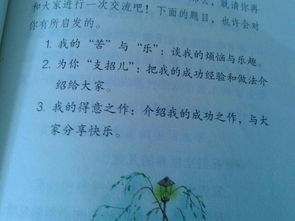 我的苦與樂作文1000字作文開頭