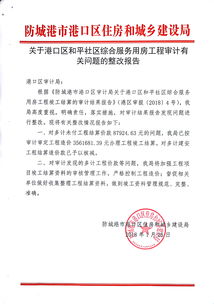 [整改]09工程審計(jì)問(wèn)題整改報(bào)告(審計(jì)整改報(bào)告范例)