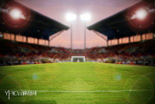 燈光球場(燈光球場)