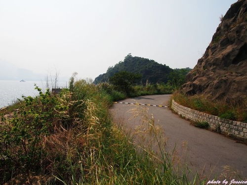 那道風景別樣美麗作文好開頭