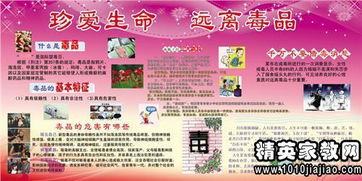 愛的作文800字開頭