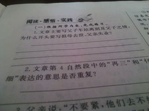 難忘熟悉的背影作文開頭結尾