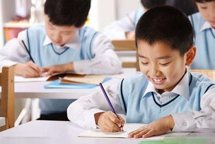 我懂得你的心意作文開頭