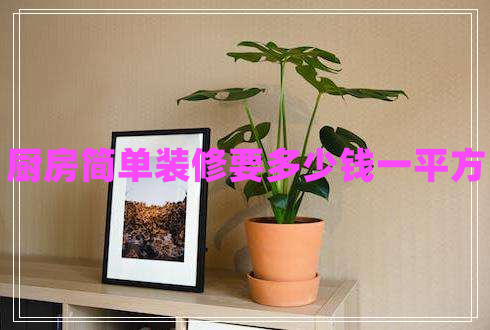 廚房簡(jiǎn)單裝修要多少錢一平方