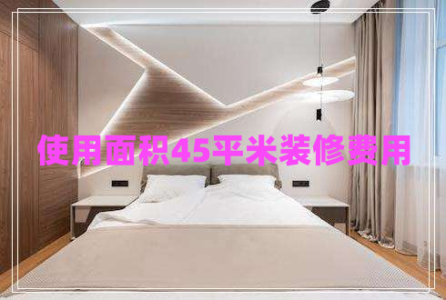 使用面積45平米裝修費(fèi)用