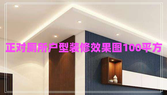 正對(duì)廁所戶型裝修效果圖100平方