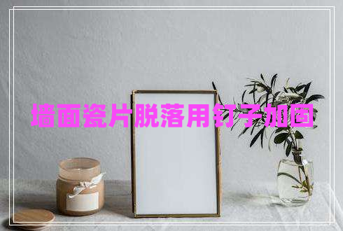 墻面瓷片脫落用釘子加固 墻面瓷片脫落用釘子加固