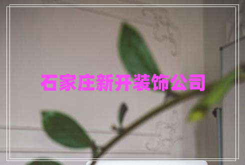 石家莊新開裝飾公司
