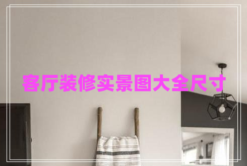 客廳裝修實景圖大全尺寸