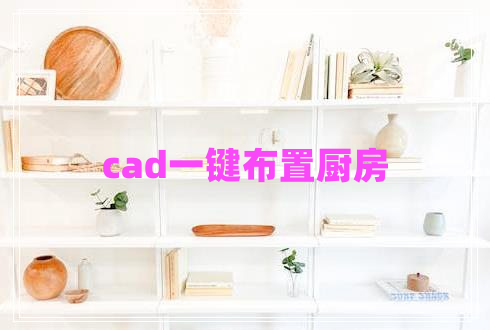 cad一鍵布置廚房