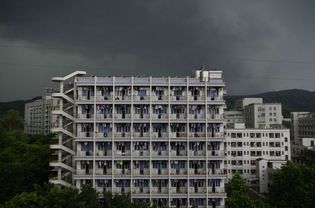 全日制的自考本科英語(yǔ)專業(yè)