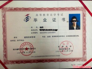 自考本科可以考音樂(lè)