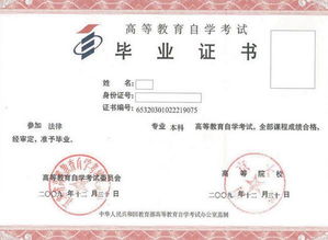 大學本科畢業(yè)生可以自考本科嗎