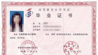 全日制本科自考可以考教子嗎