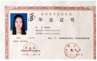 自考本科先考專(zhuān)科嗎