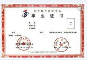 《財(cái)務(wù)會(huì)計(jì)與審計(jì)》專業(yè)自考本科