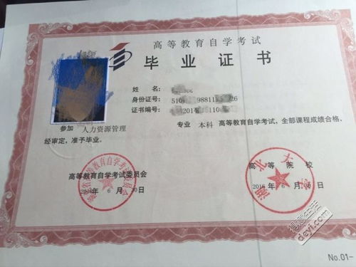 中專學(xué)前教育自考大專本科