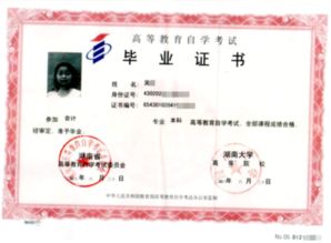 可直接報自考本科嗎