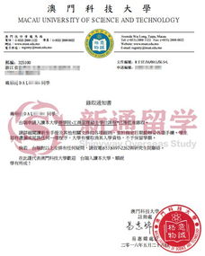 英語(yǔ)自考本科和雅思