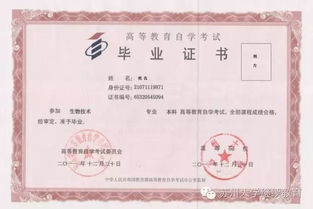 自考本科能考村官么