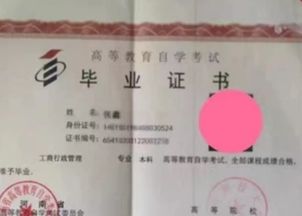 自考混本科哪門最容易