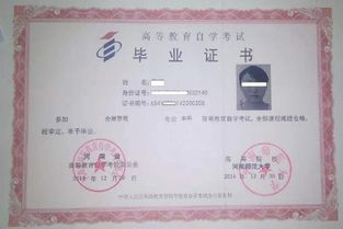 自考本科如何填寫畢業(yè)學(xué)校