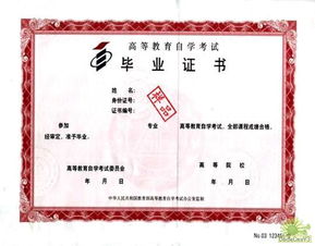 自考相溝通本科班