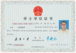 陜西省自考本科報名