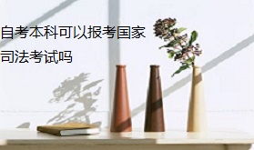 自考本科非專業(yè)考司法