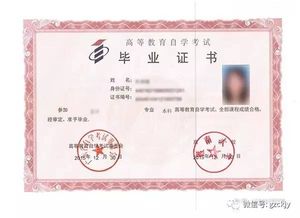 自考本科是什么形式