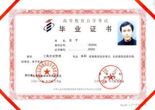 大專大三可以自考本科嗎