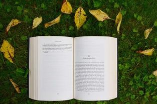 自考本基礎(chǔ)科段和本科的區(qū)別