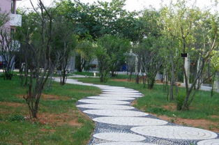 江西的自考本科不承認(rèn)嗎