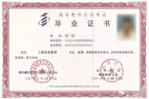 報自考本科后還能否報統(tǒng)招專科