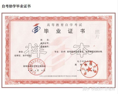 簡歷大專和自考本科