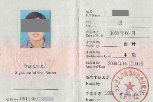 自考本科可報(bào)考中級會計(jì)嗎