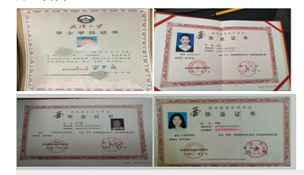 湖北2019自考本科