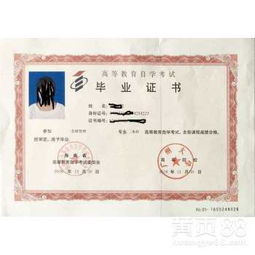 專升本簡單還是自考本科簡單