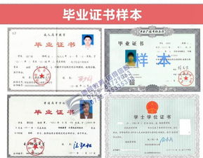 深圳自考本科哪些機構(gòu)好