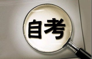 全日制自考本科屬于統(tǒng)招嗎