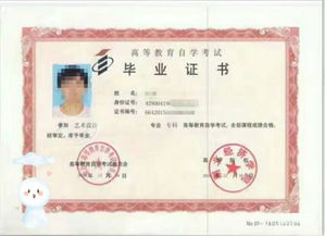 自考本科在哪里報名的比較好