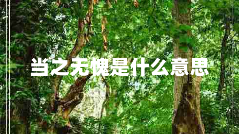 當(dāng)之無愧是什么意思