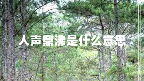 人聲鼎沸是什么意思 人聲鼎沸是什么意思