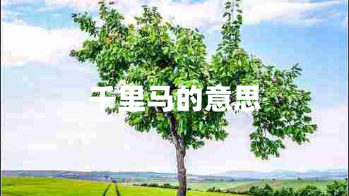 千里馬的意思