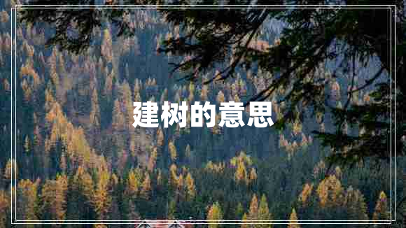 建樹的意思